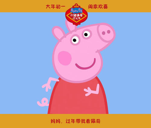 静岡県立大学公共管理文凭证书